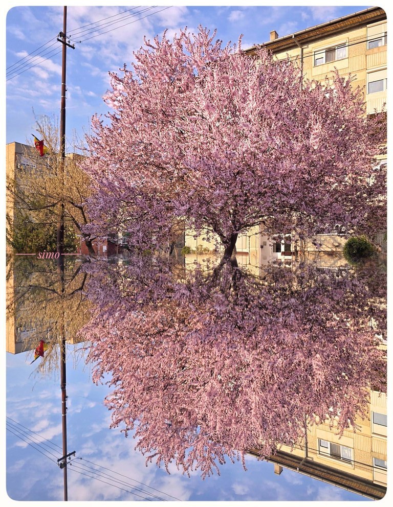 Imaginea zilei 28.03.2026