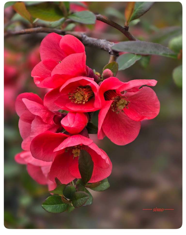 Imaginea zilei 30.03.2026