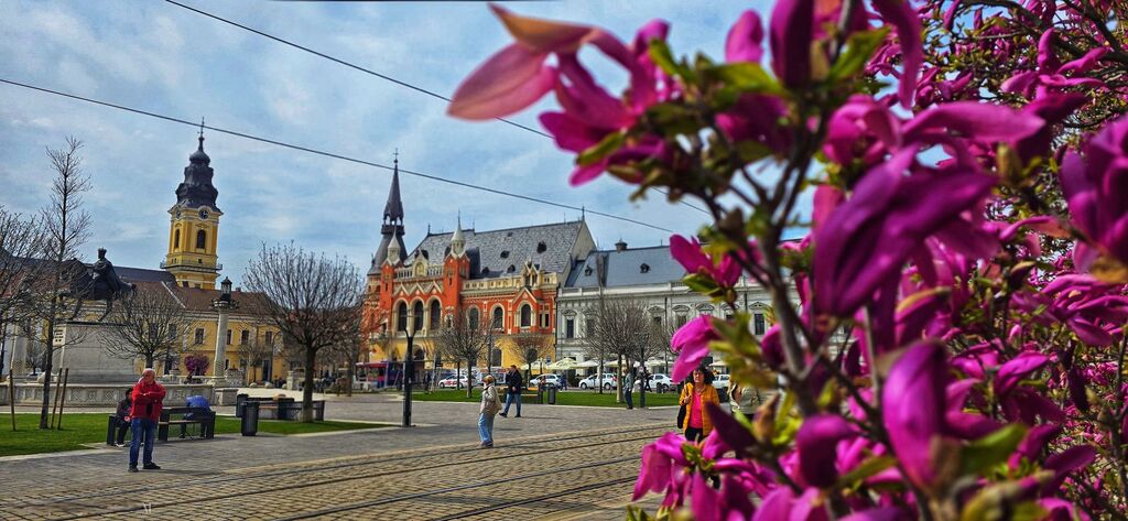 Imaginea zilei 31.03.2026