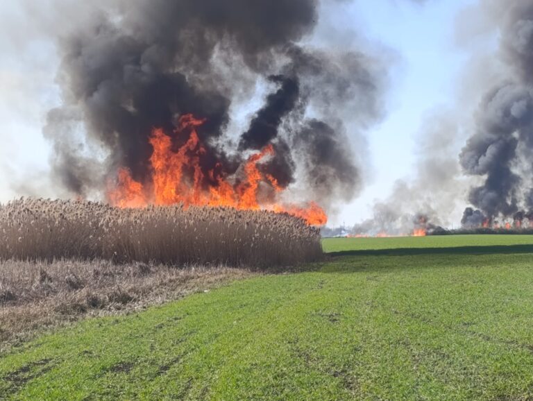 Bărbat găsit carbonizat pe o pășune incendiată în Bihor