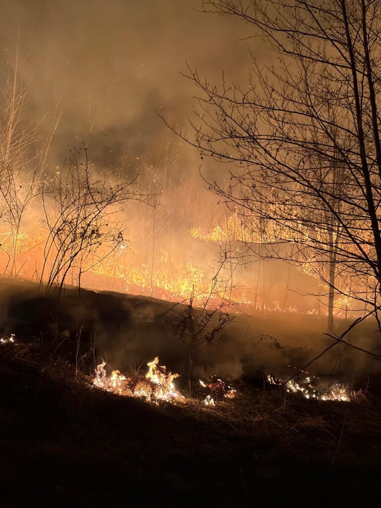 Arde Valea Aleului, în Bihor! Pompierii au salvat casele de vacanță din zonă