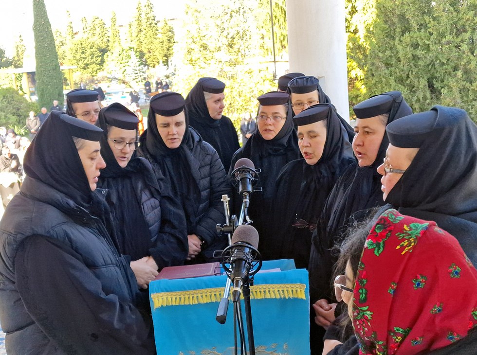 Foto: Ovidan.ro