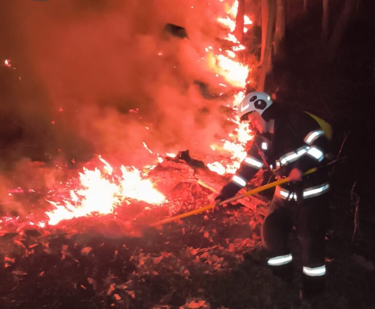 Foc scăpat de sub control în Bihor. Pompierii au intervenit toată noaptea. Șapte incendii, în mai puțin de o zi