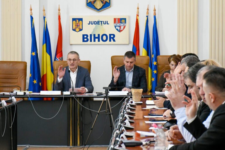 Bani europeni de zeci de milioane pentru un nou pasaj în Oradea. Cum se schimbă traficul în nordul orașului
