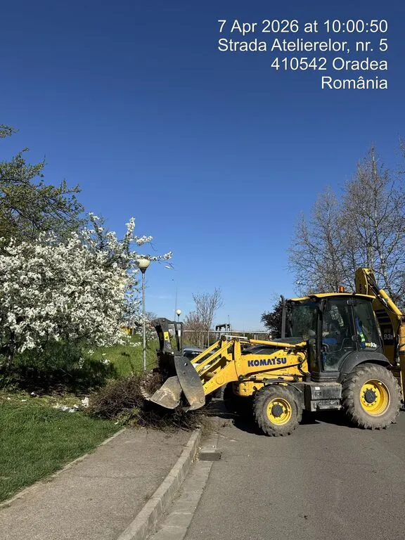 Primăria face curățenie în Zona 4 a Oradiei
