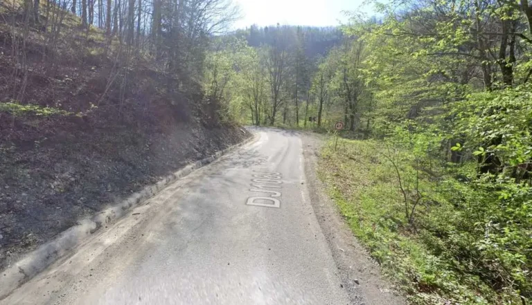 Foto: CJ Bihor
