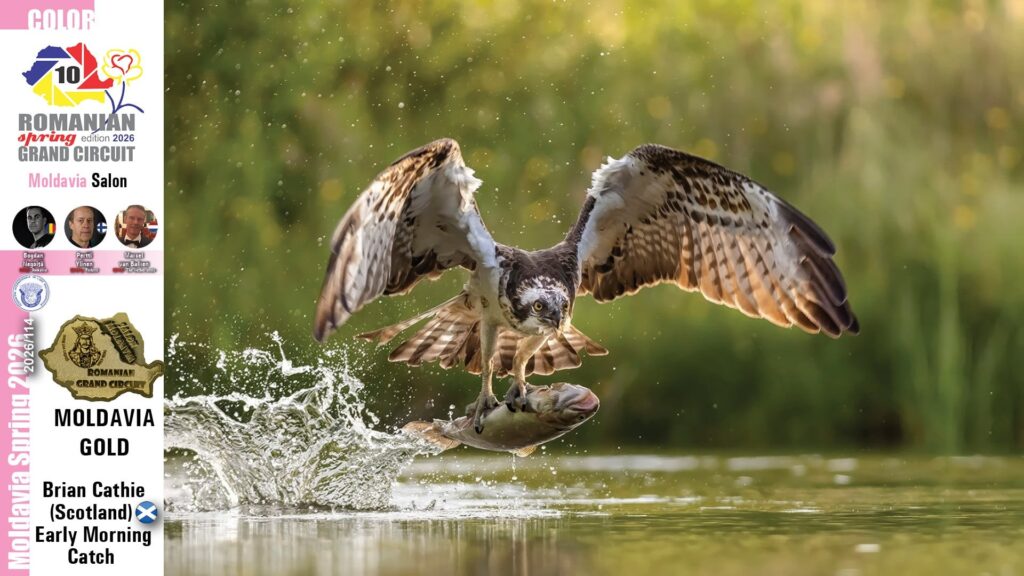 Foto: Varadinum Foto Club Oradea