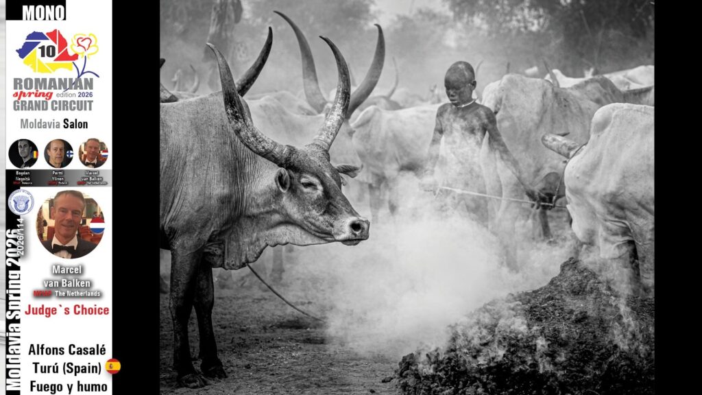 Foto: Varadinum Foto Club Oradea