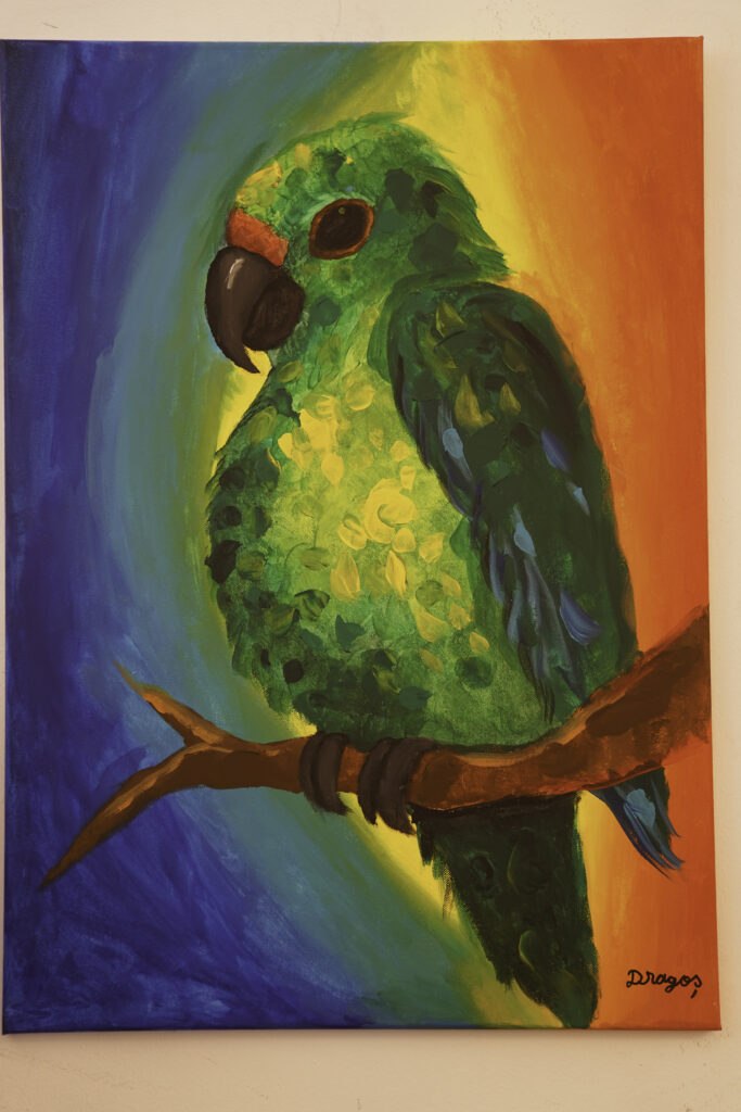 Foto: Christian Filipescu