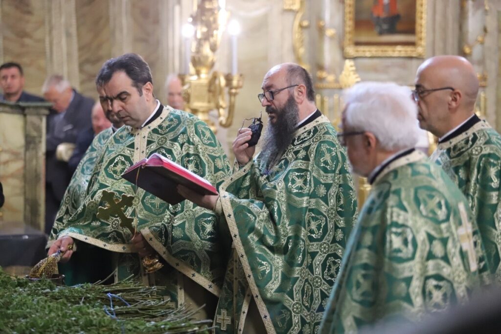 Foto Narcis Alexandru