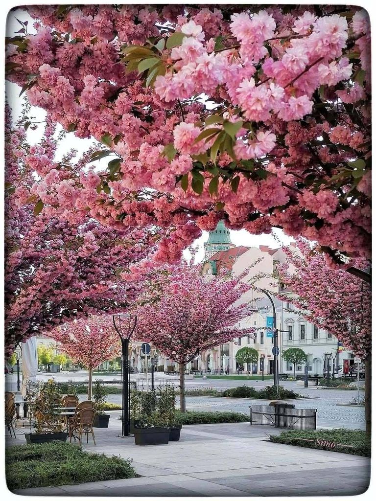 Imaginea zilei 1.04.2026