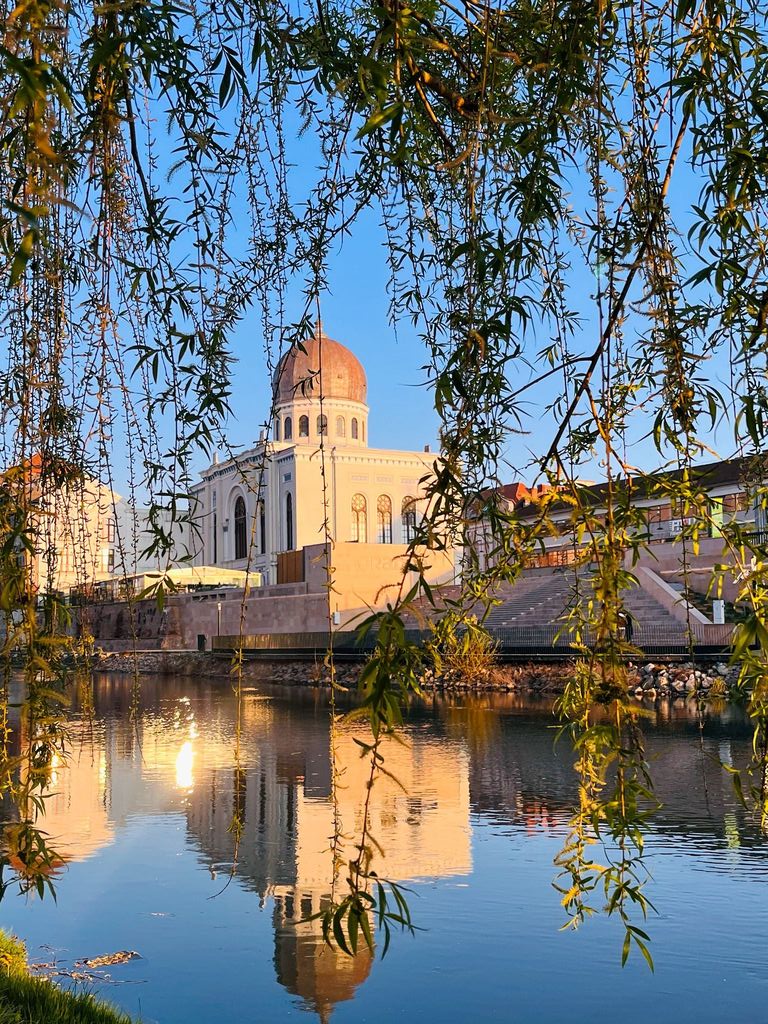 Imaginea zilei 2.04.2026