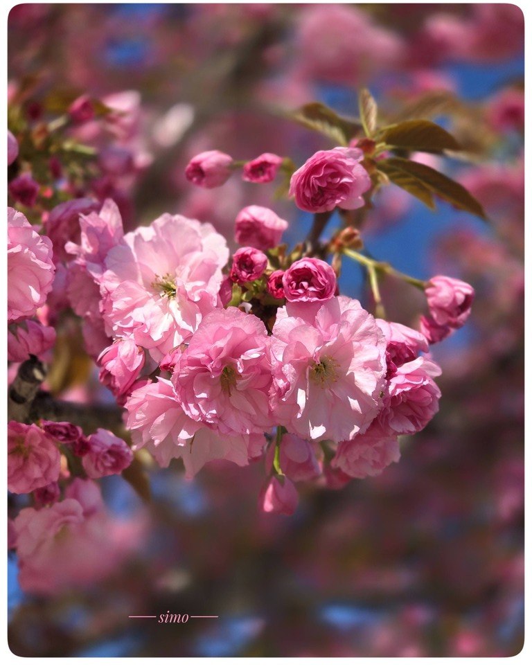 Imaginea zilei 6.04.2026