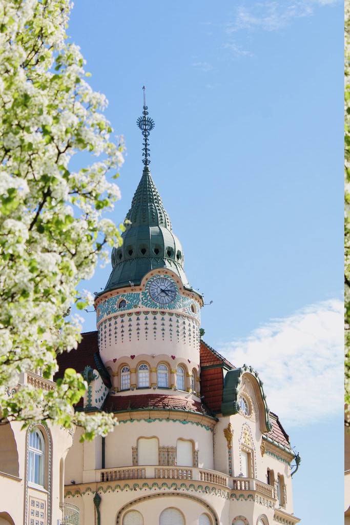 Imaginea zilei 8.04.2026