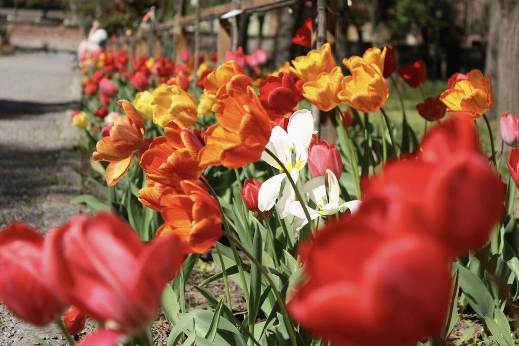 Imaginea zilei 10.04.2026