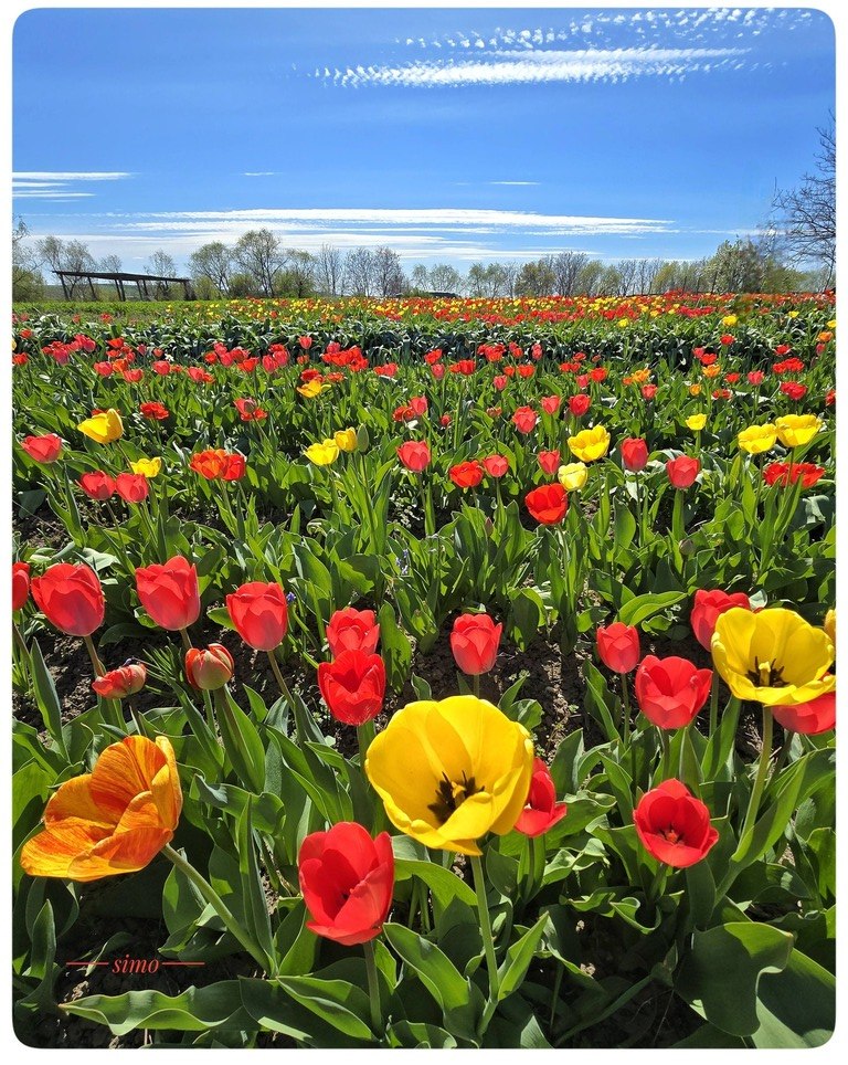 Imaginea zilei 11.04.2026