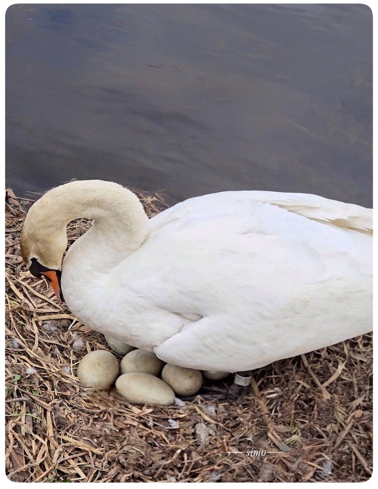 Imaginea zilei 13.04.2026