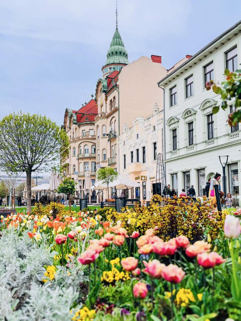 Imaginea zilei 14.04.2026