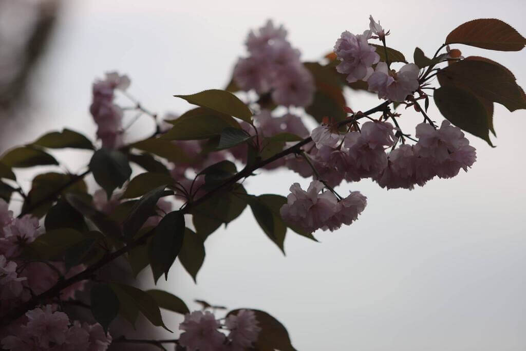 Imaginea zilei 15.04.2026