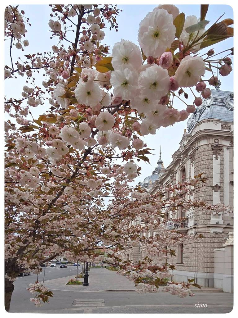 Imaginea zilei 16.04.2026