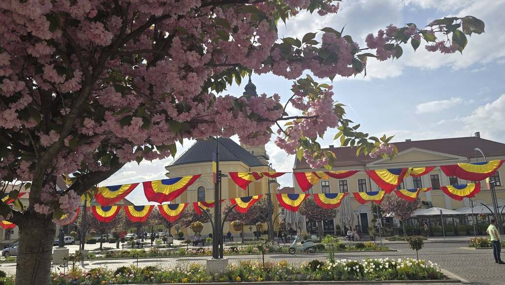 Imaginea zilei 19.04.2026