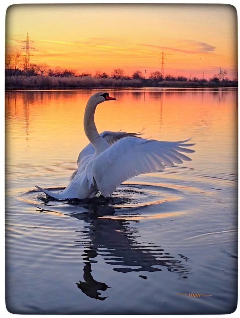 Imaginea zilei 20.04.2026