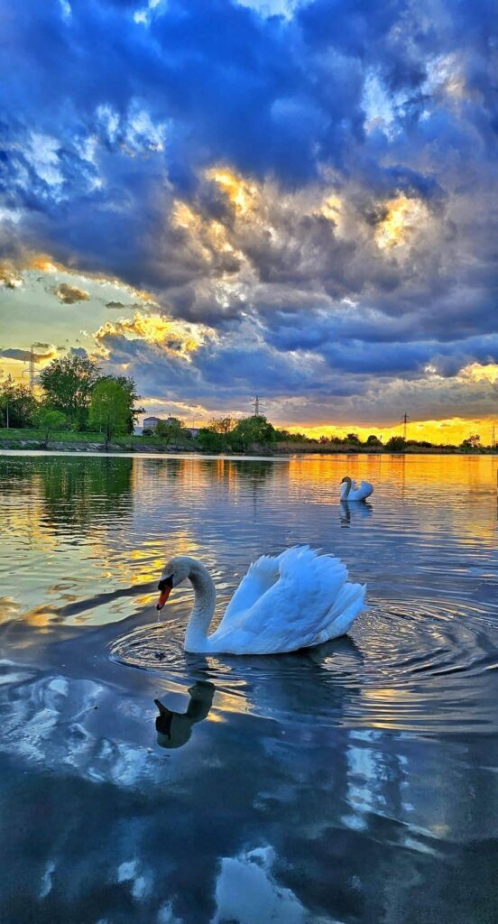 Imaginea zilei 22.04.2026