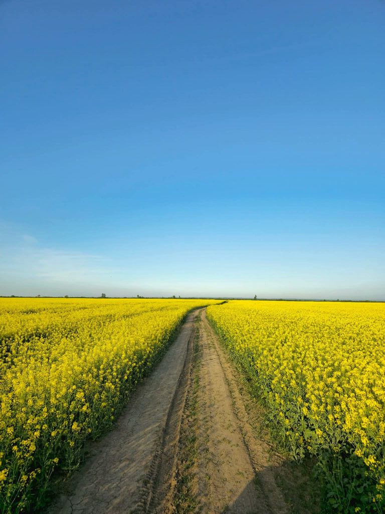 Imaginea zilei 23.04.2026