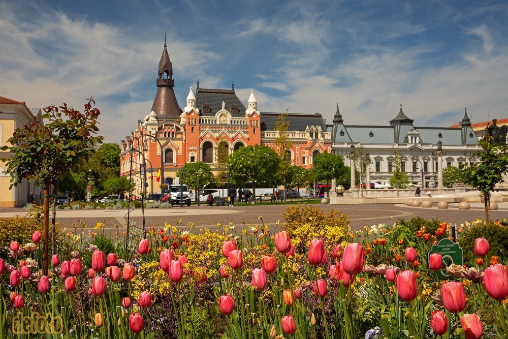 Imaginea zilei 26.04.2026