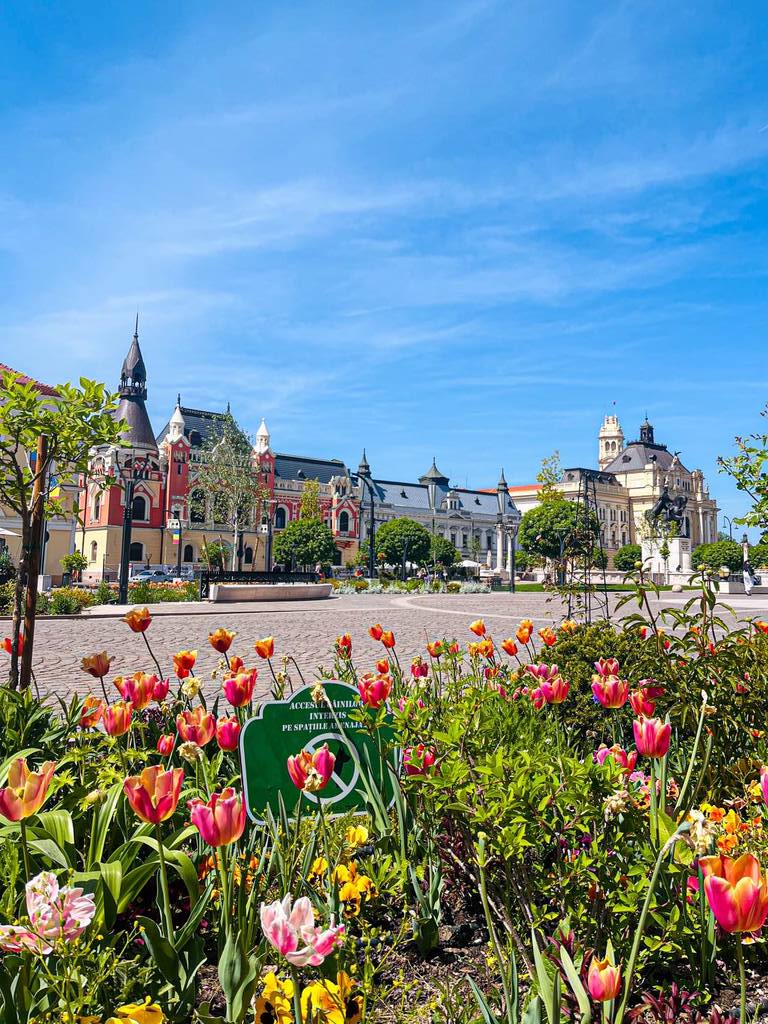 Imaginea zilei 29.04.2026