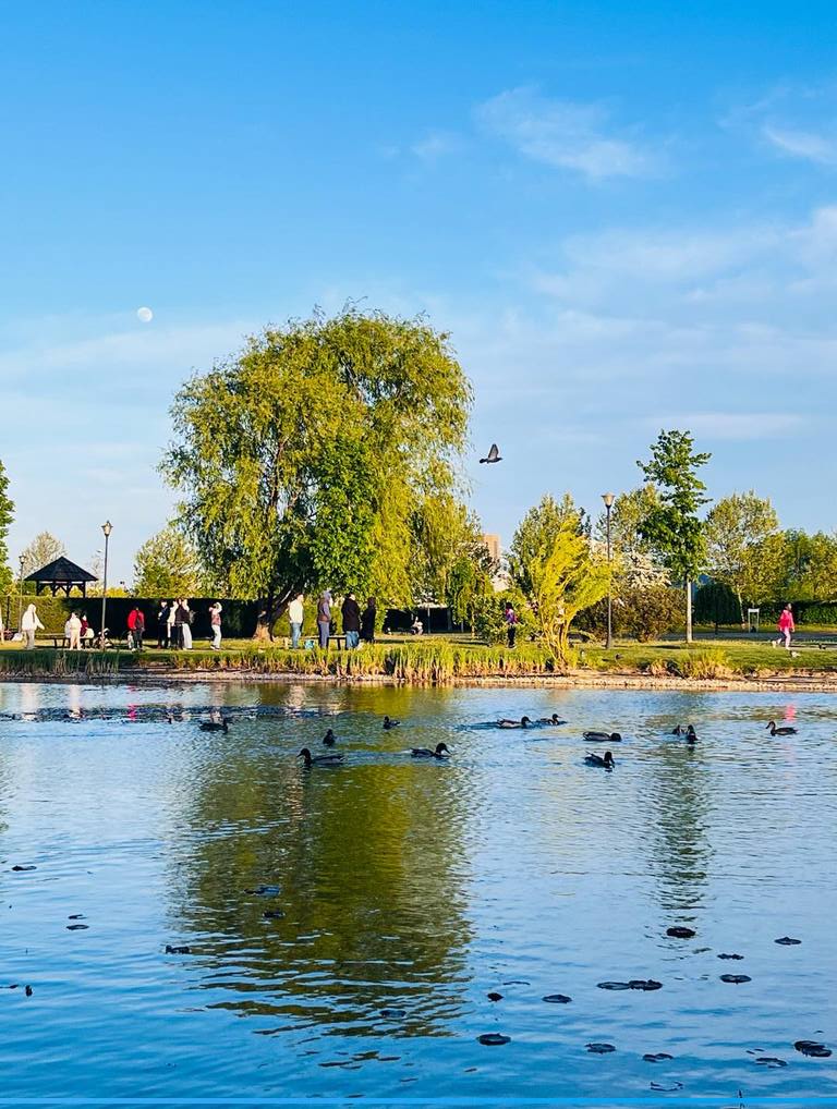 Imaginea zilei 30.04.2026