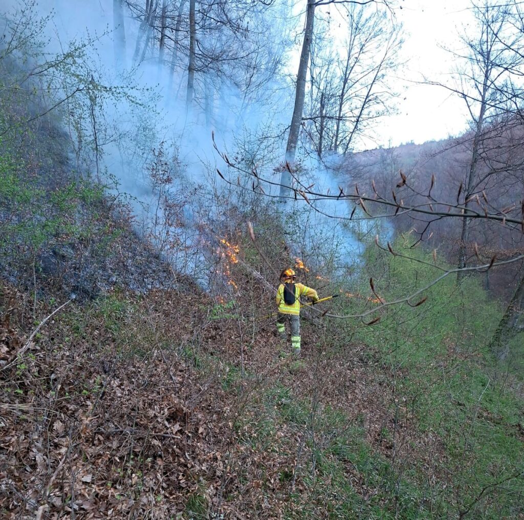 Foto: ISU Bihor