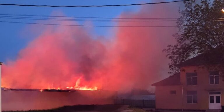 Incendiu puternic în Palota. Pompierii au salvat o casă, un depozit, solarii și mai multe animale