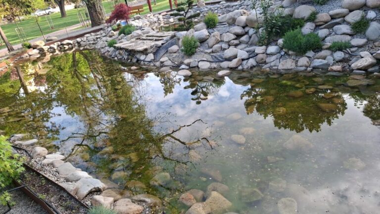 Lacul din Parcul Petőfi, vandalizat. Pagube în zona amenajată de pe margine