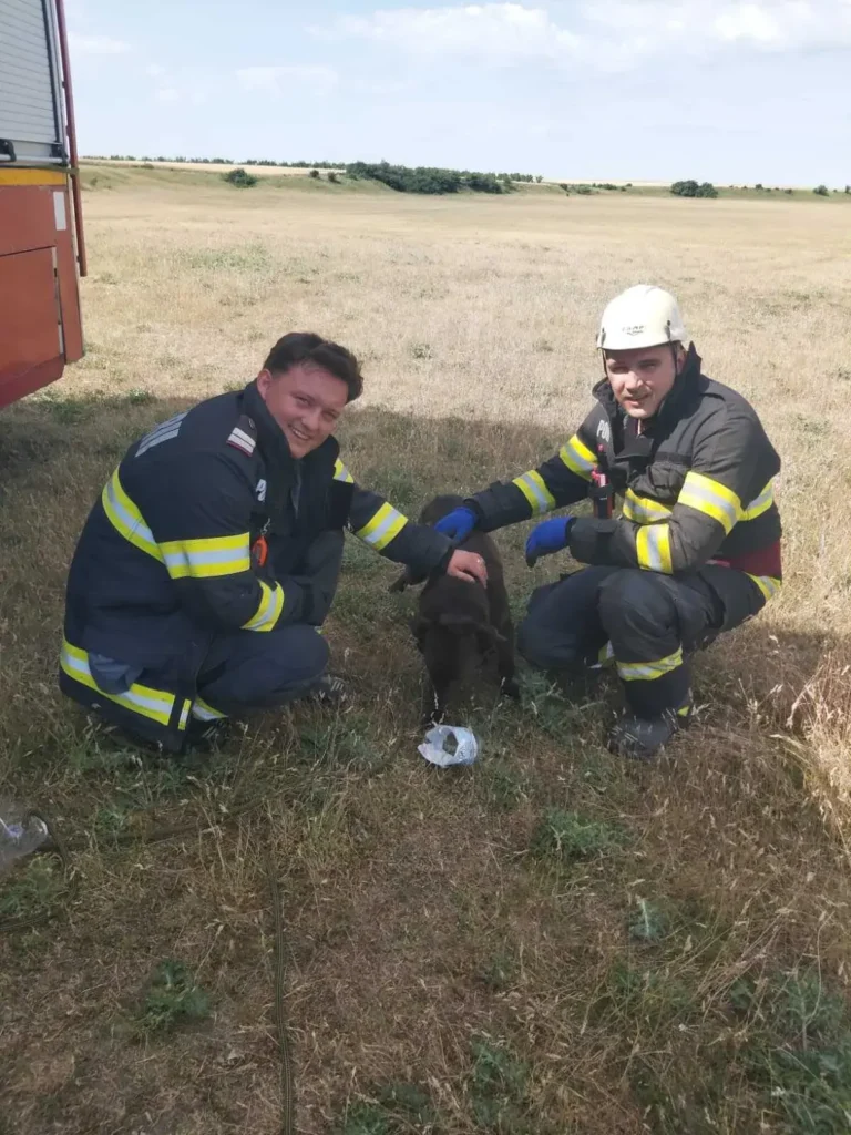 Câine salvat de pompierii bihoreni dintr-o fântână dezafectată