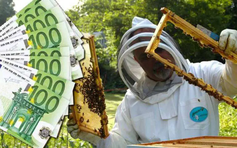 Apicultorii din Bihor mai au timp până pe 31 iulie să ceară bani de la APIA. Sprijinul poate ajunge la zeci de mii de lei
