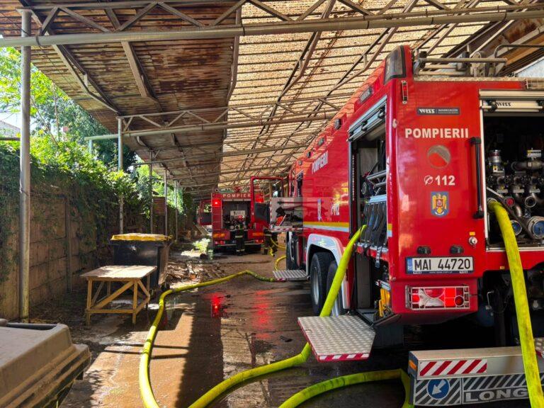 Incendiu puternic la o hală de pe strada Războieni din Oradea. Zeci de pompieri au intervenit pentru a opri extinderea flăcărilor