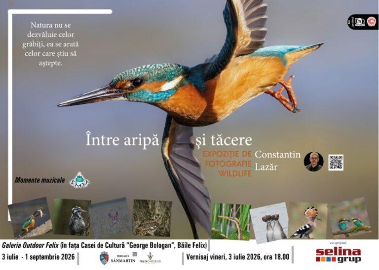 „Între aripă și tăcere”. Artistul fotograf Lazăr Constantin prezintă frumusețea nevăzută a naturii, printr-o expoziție cu 48 de fotografii