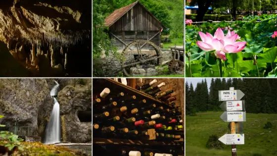Consultare publică online pentru Strategia de Dezvoltare Turistică a Județului Bihor
