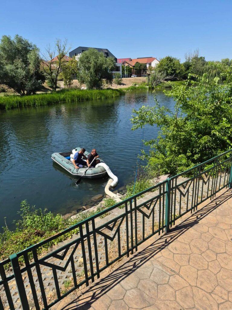 Foto: ABA Crișuri