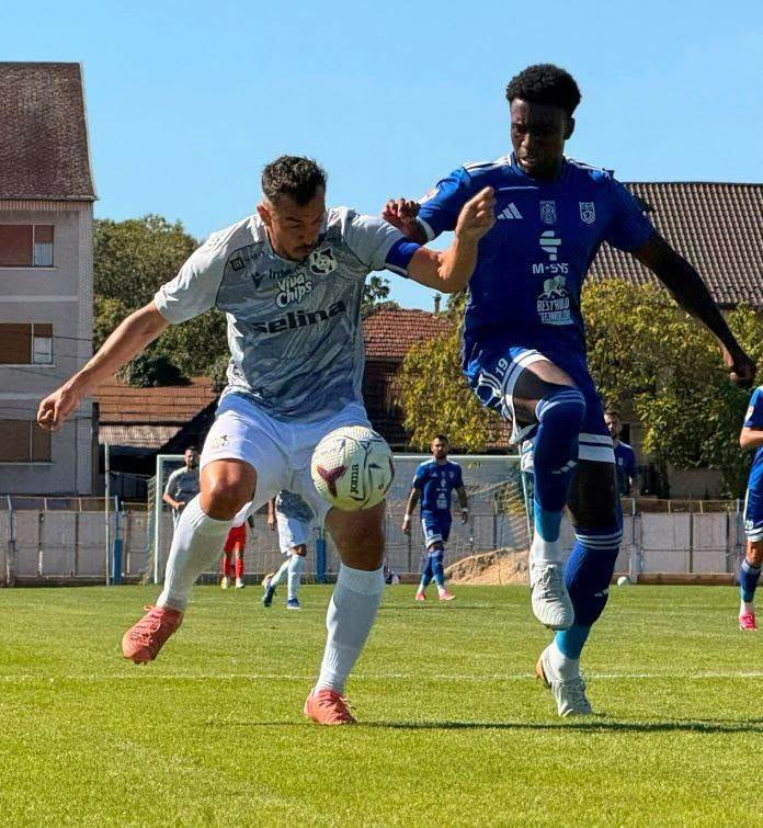 Sursa foto: Deak Kristof/FC Bihor