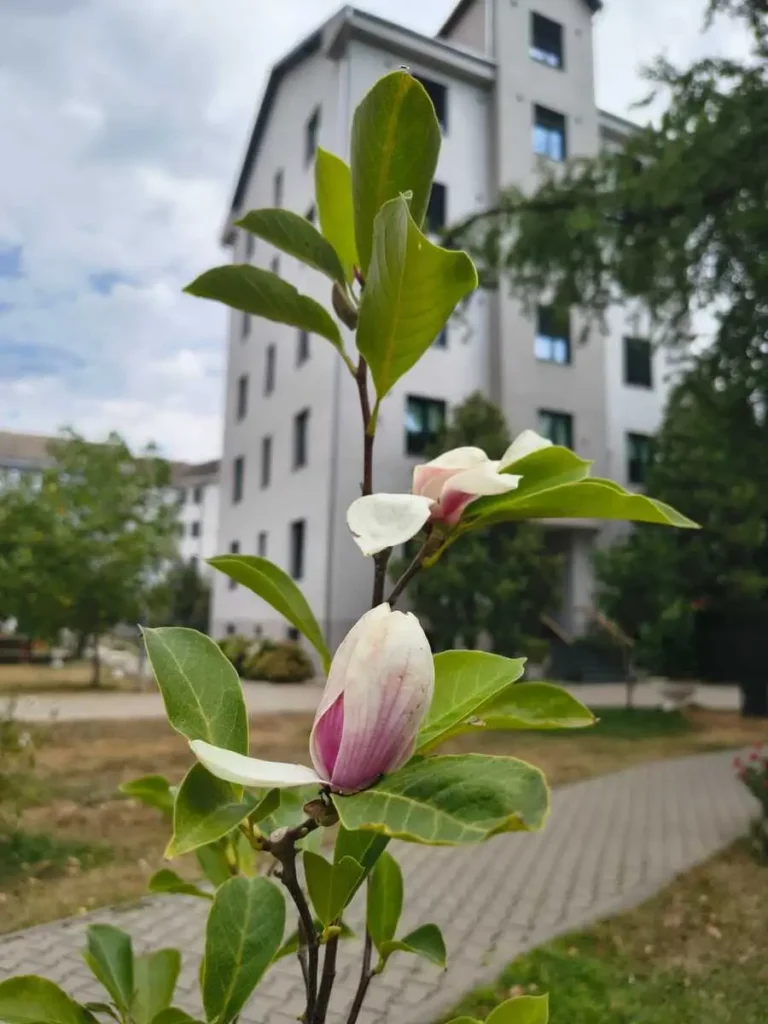 Foto: Universitatea din Oradea